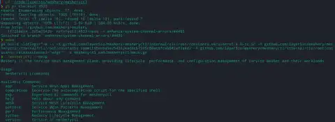 Validating Meshery CLI Functionality